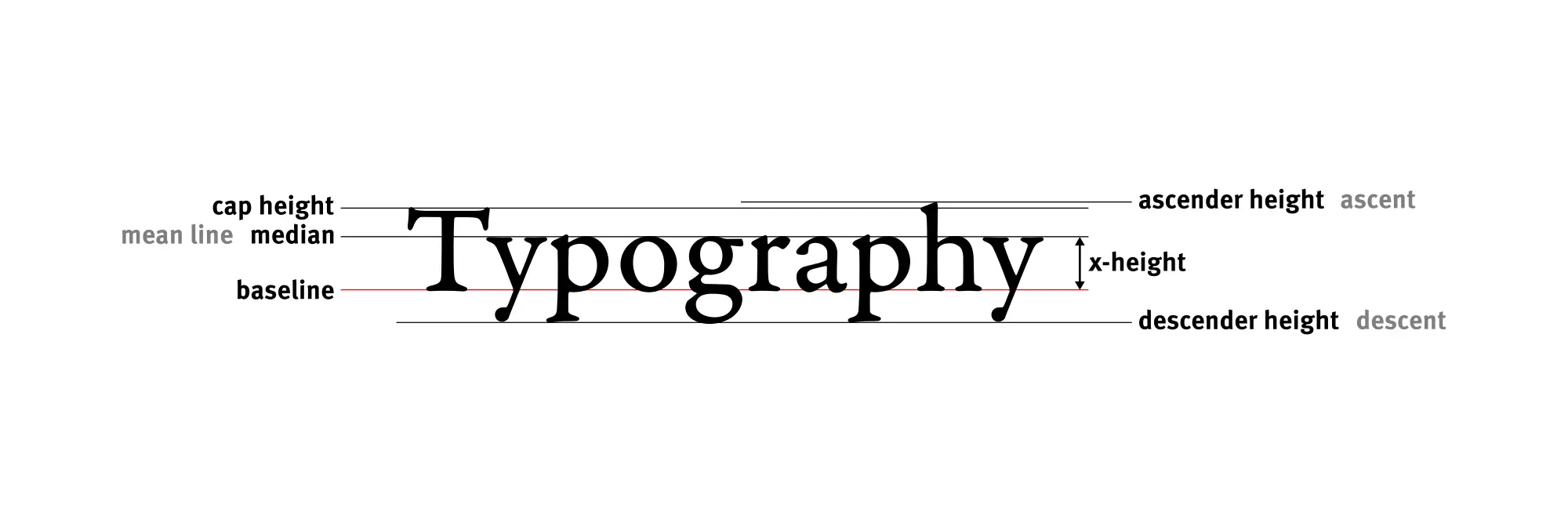 Typography