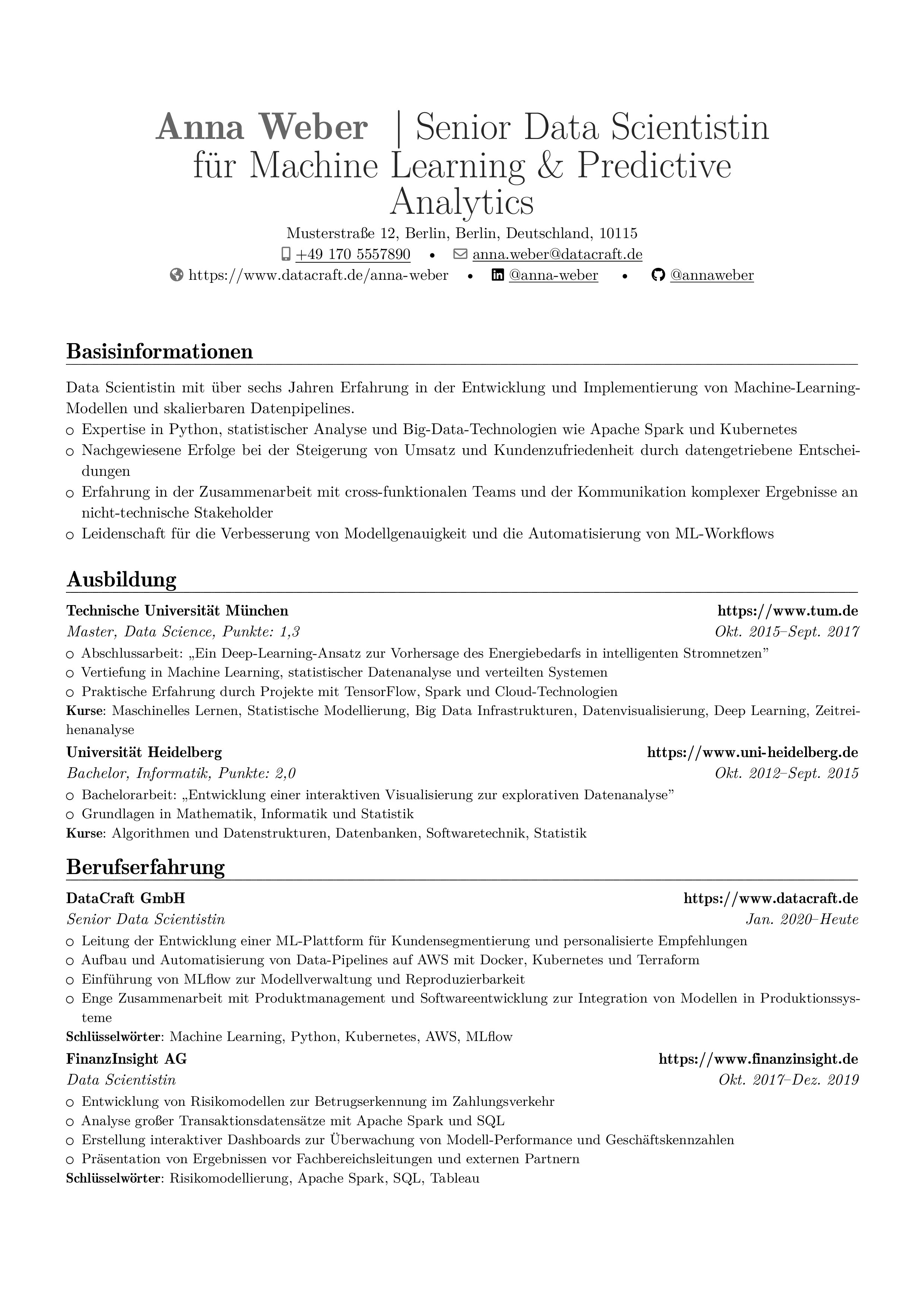 Datenwissenschaftler resume preview