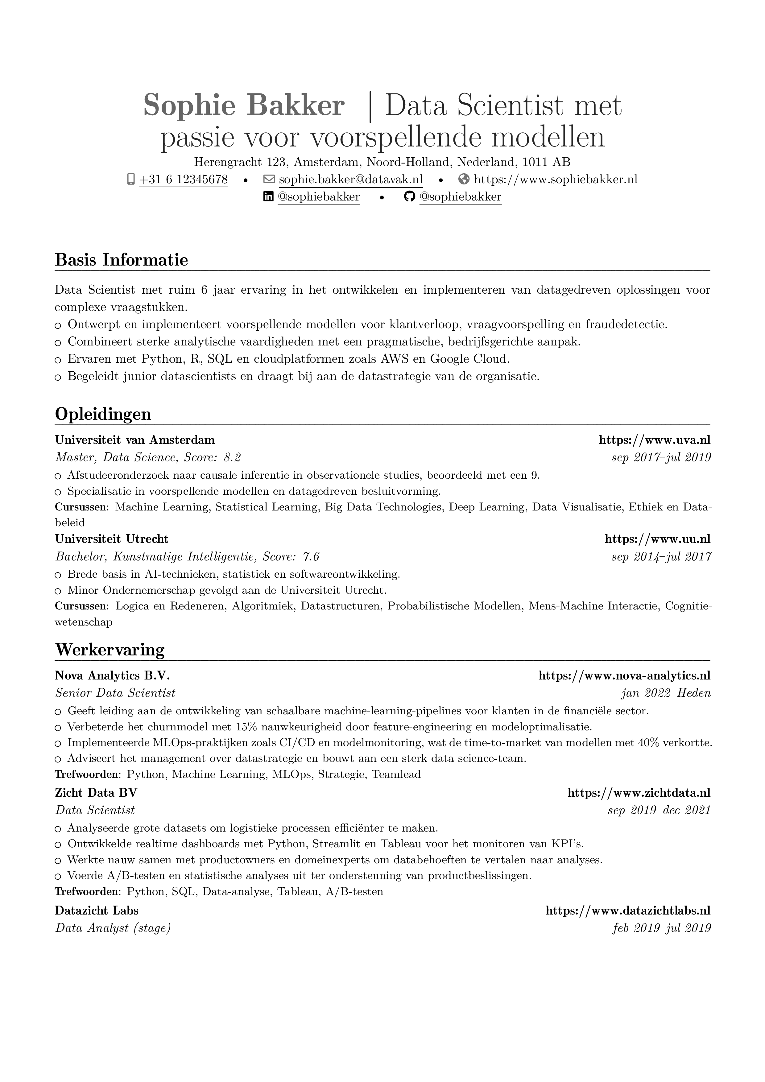 Datawetenschapper resume preview