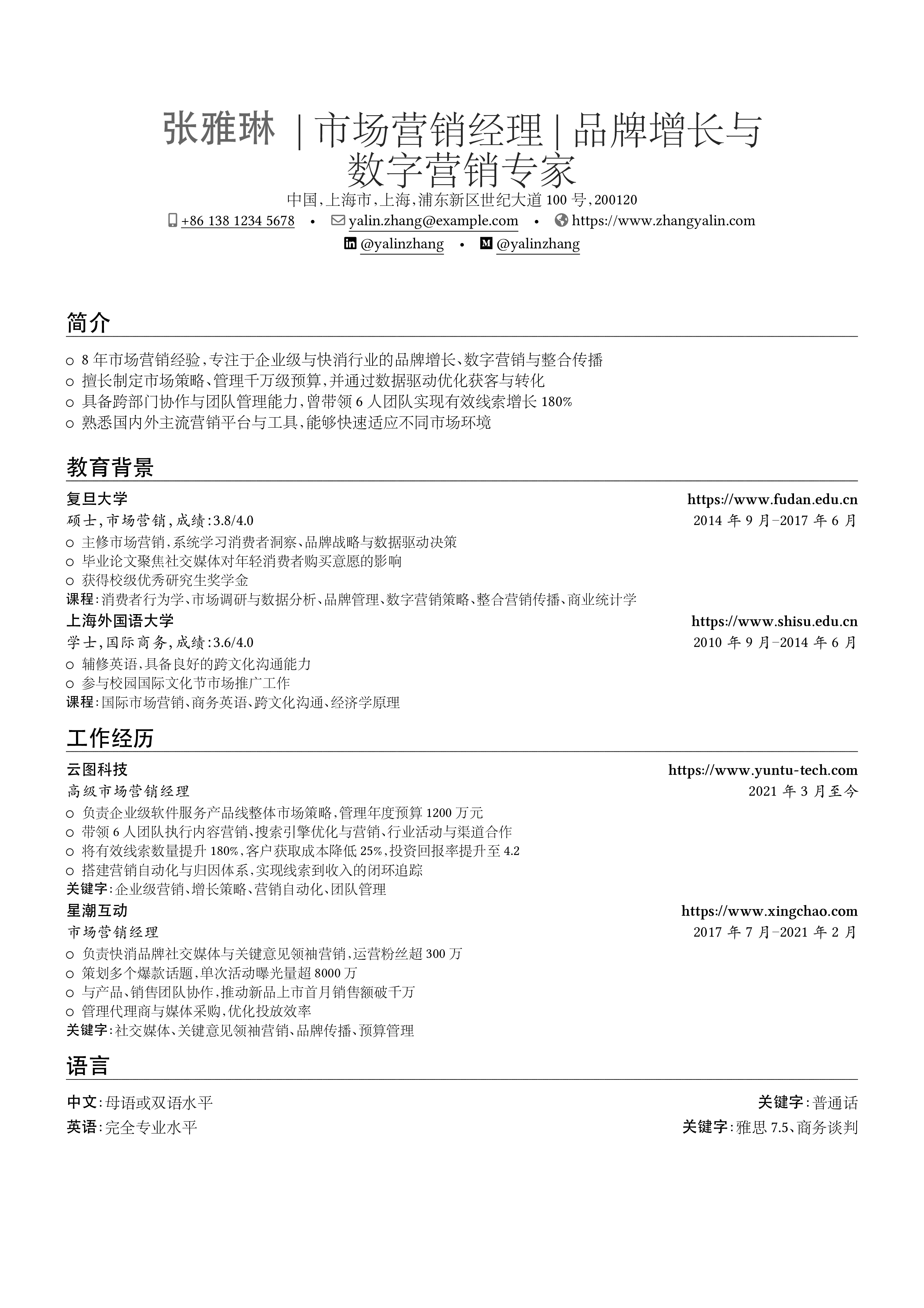 市场营销经理 resume preview