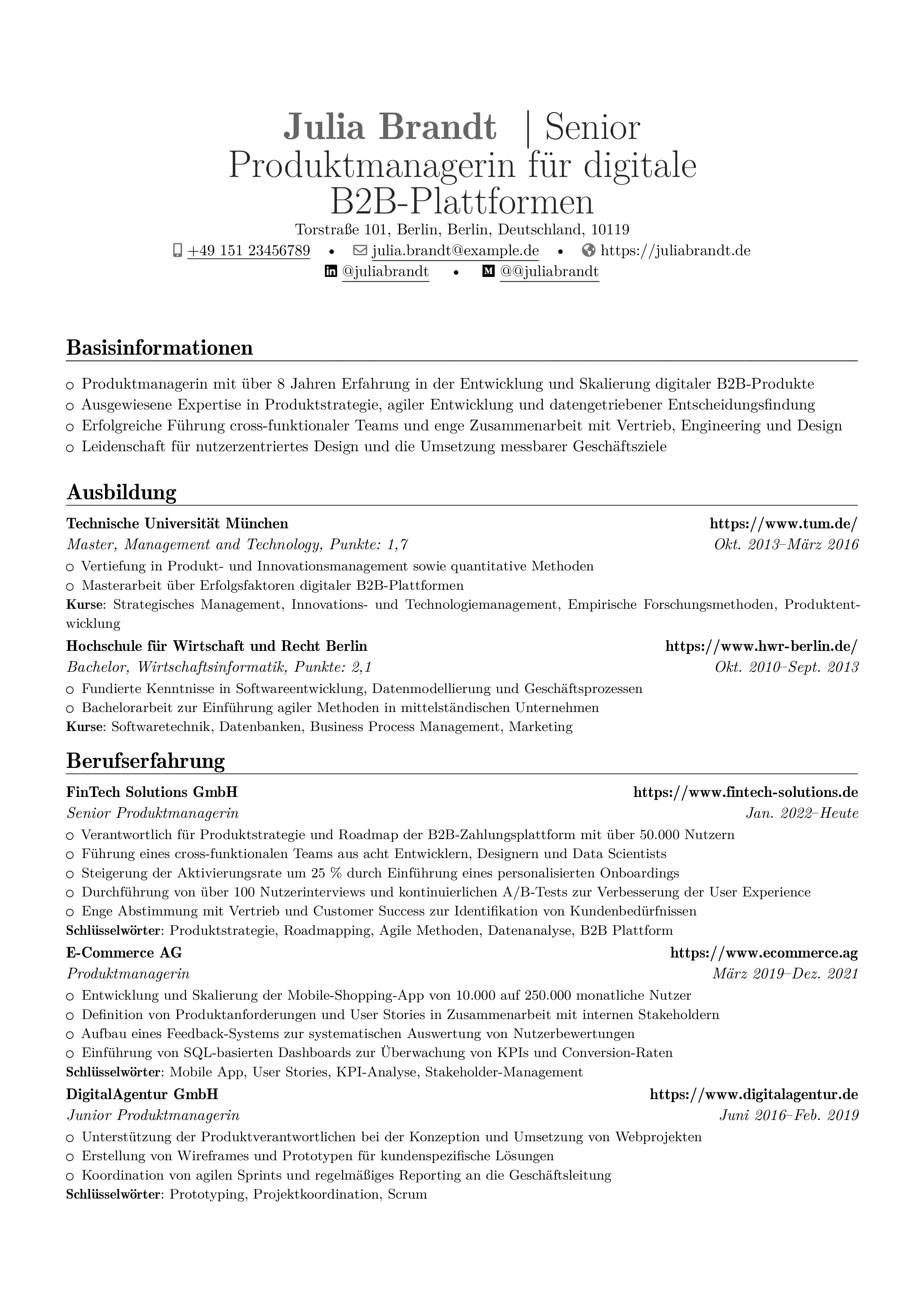 Produktmanager resume preview