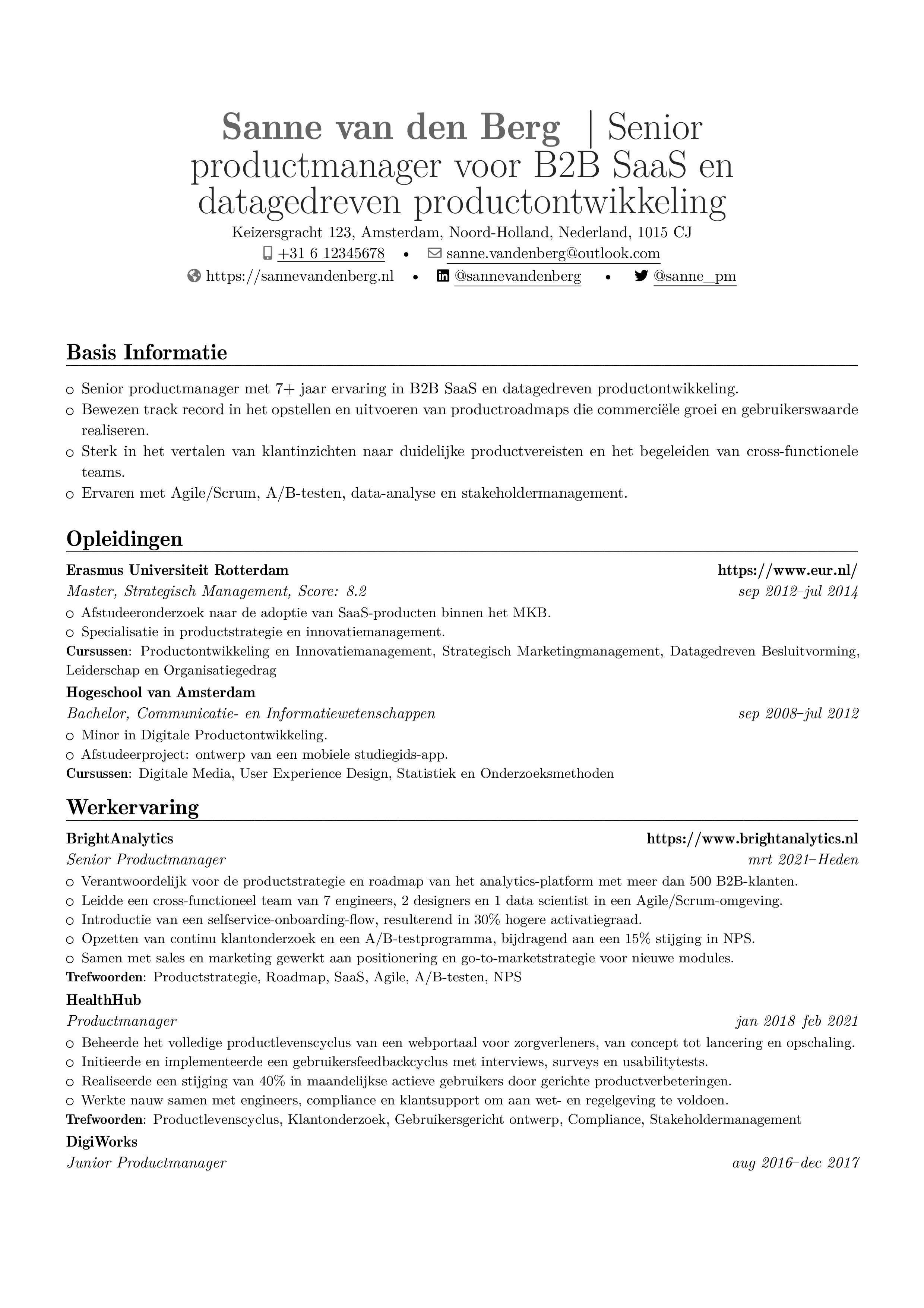 Productmanager resume preview
