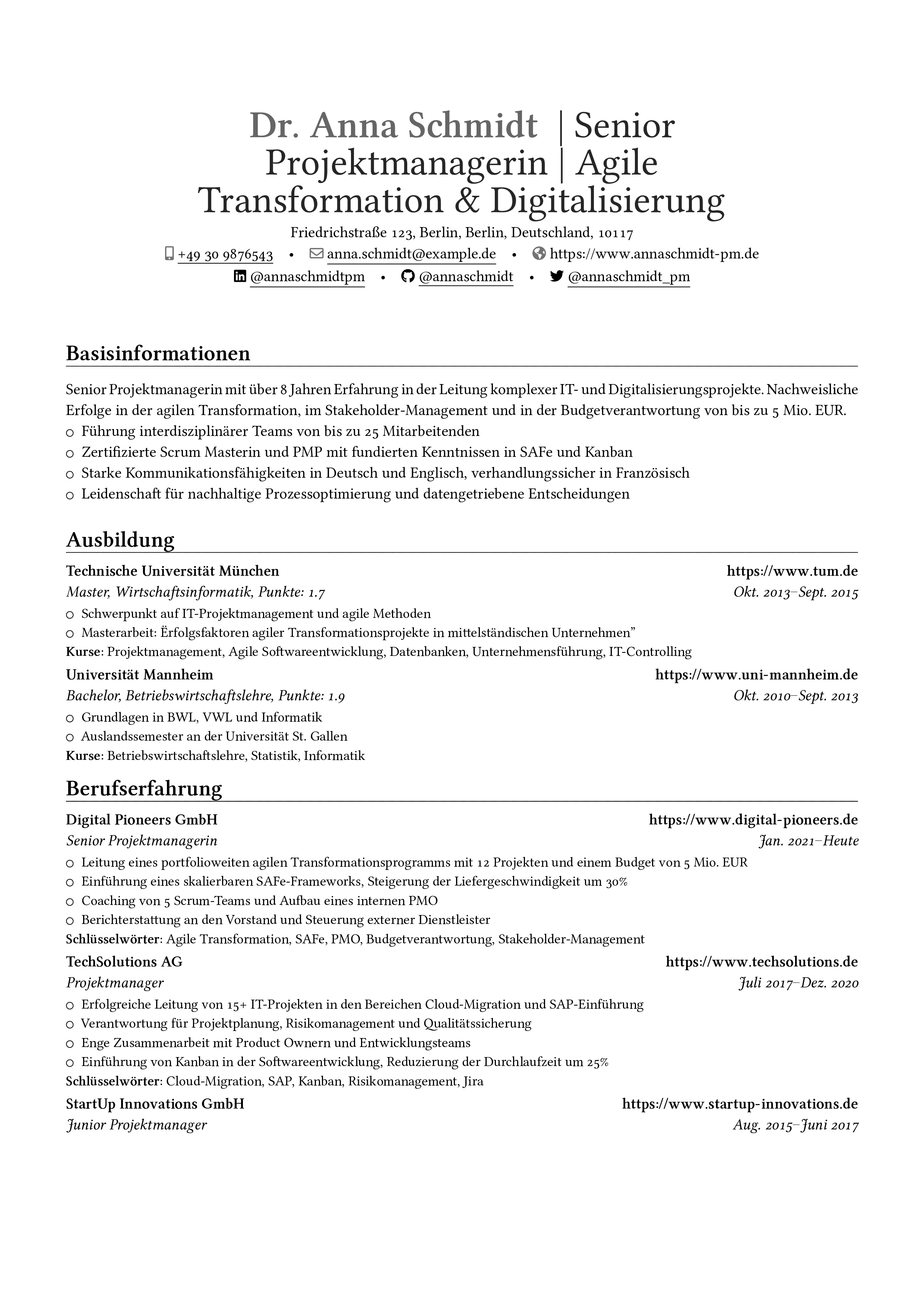 Aperçu du CV Projektmanager
