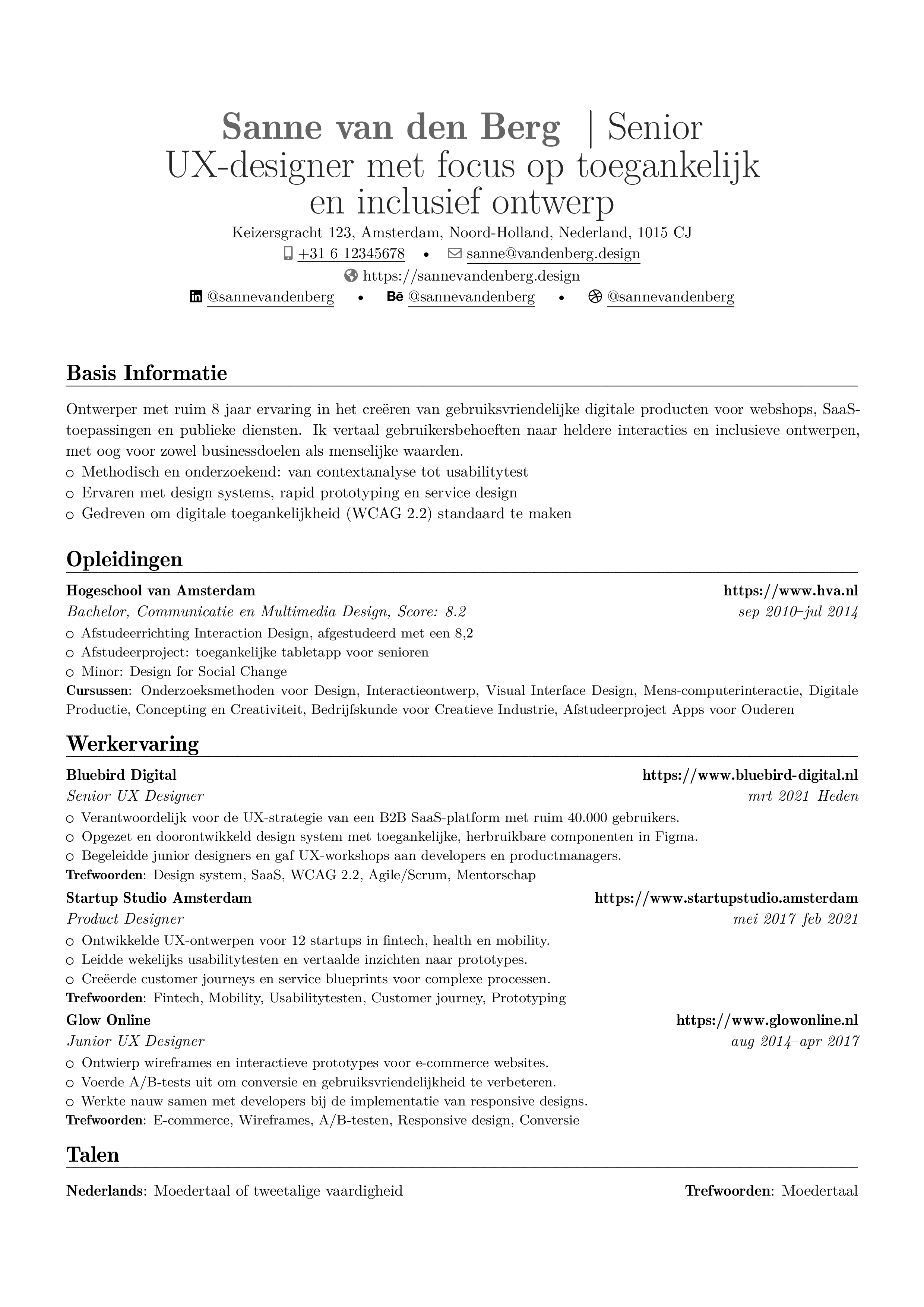 UX-ontwerper resume preview