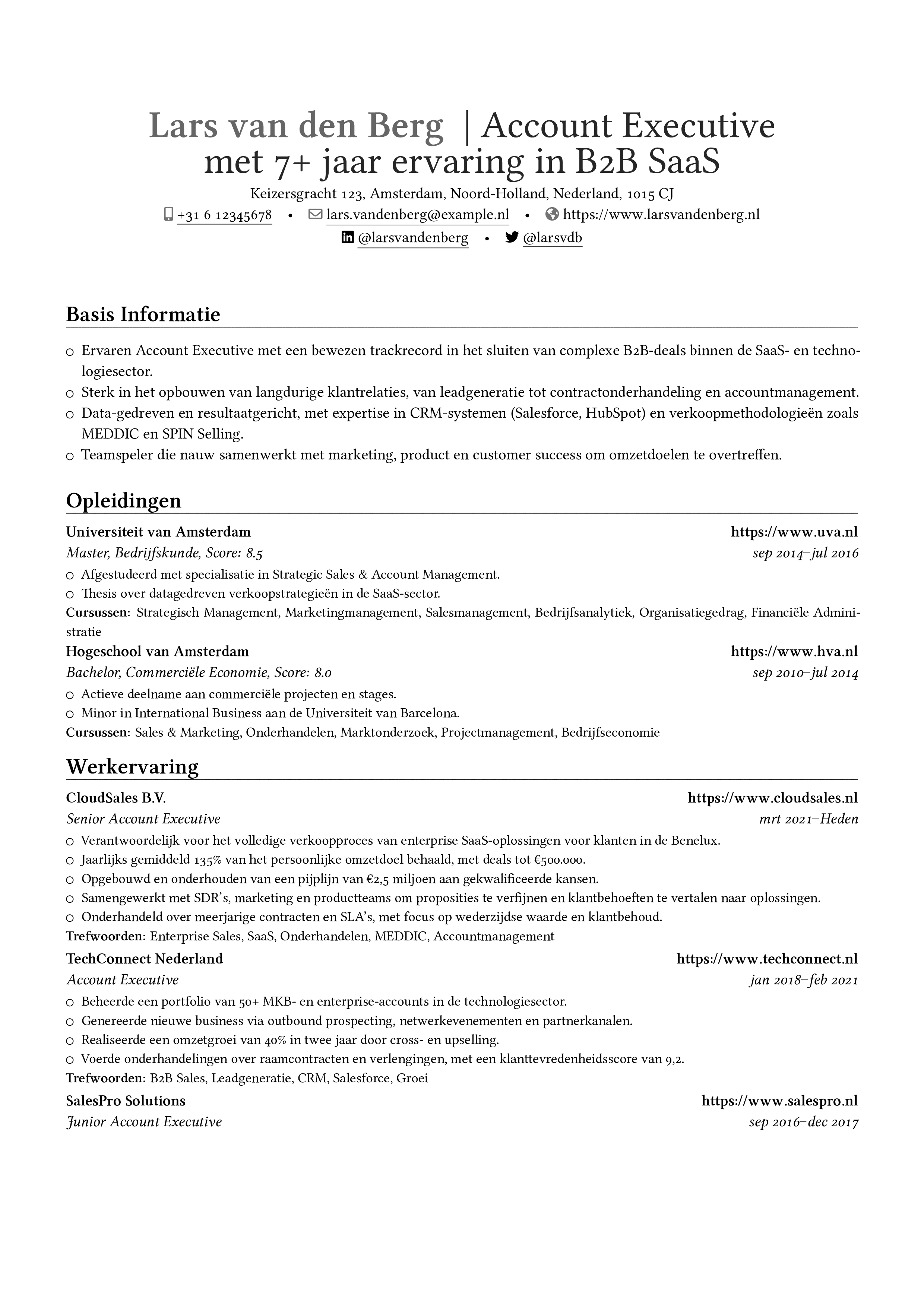 Vista previa del currículum Accountmanager