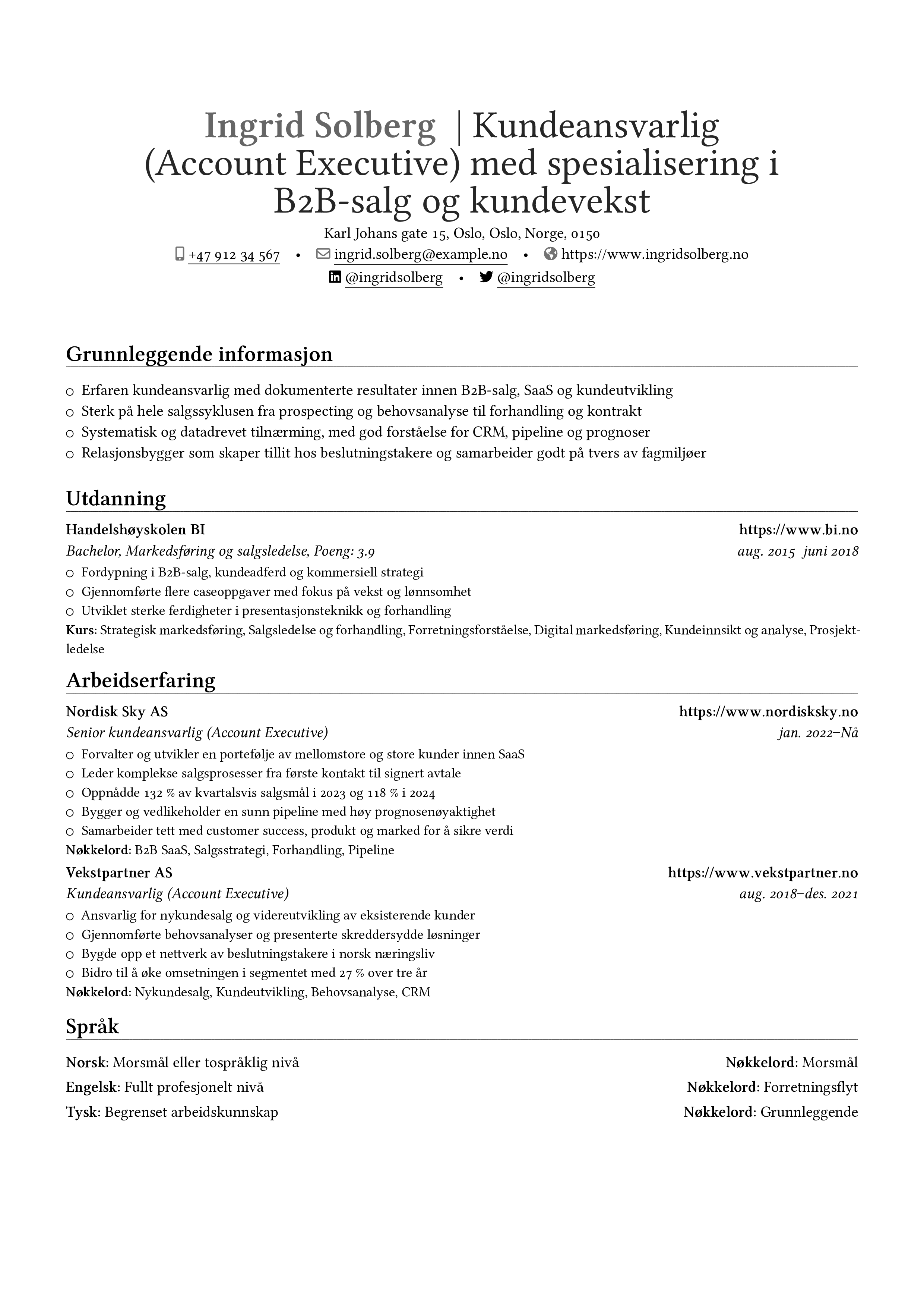 Kundeansvarlig resume preview
