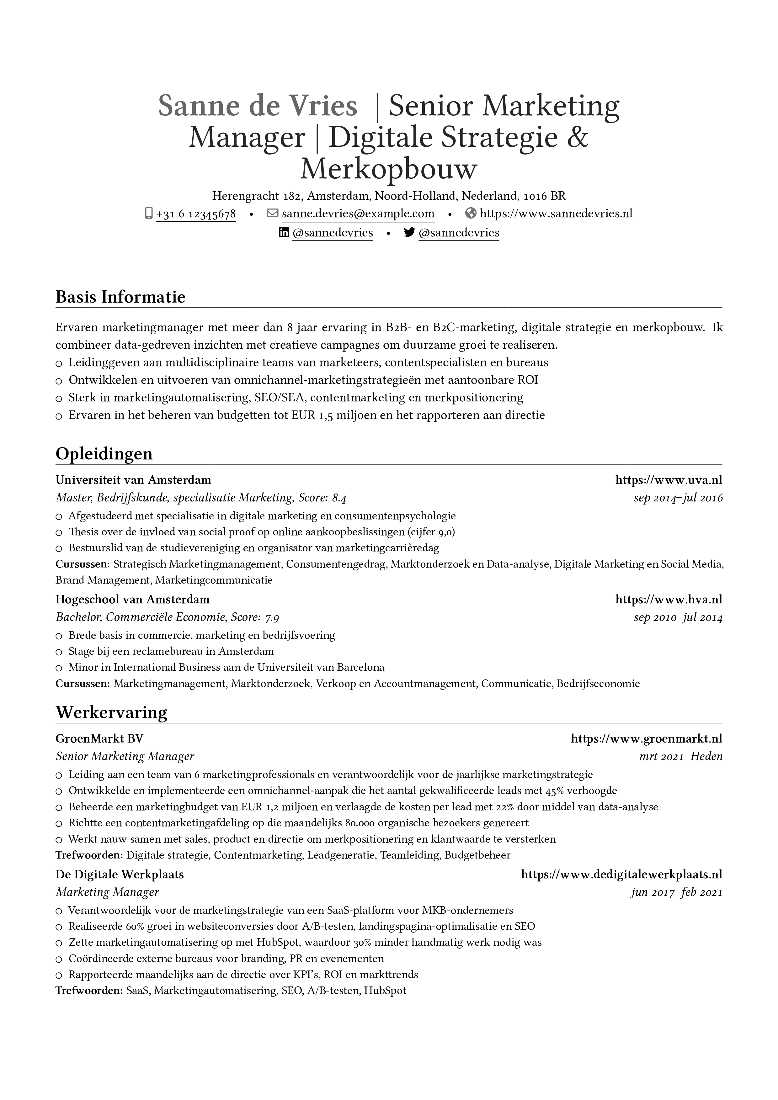 Marketingmanager resume preview