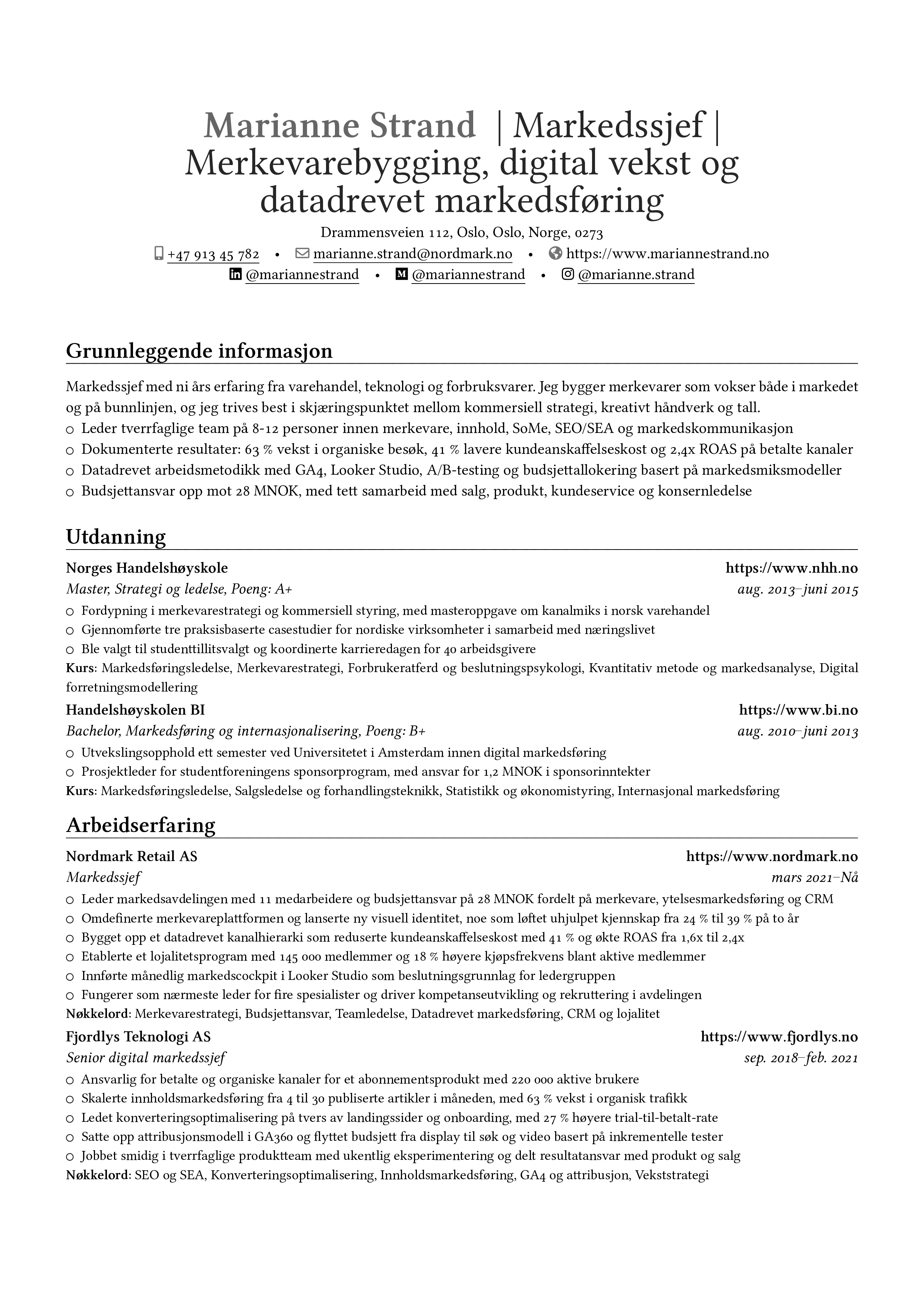 Markedsføringssjef resume preview
