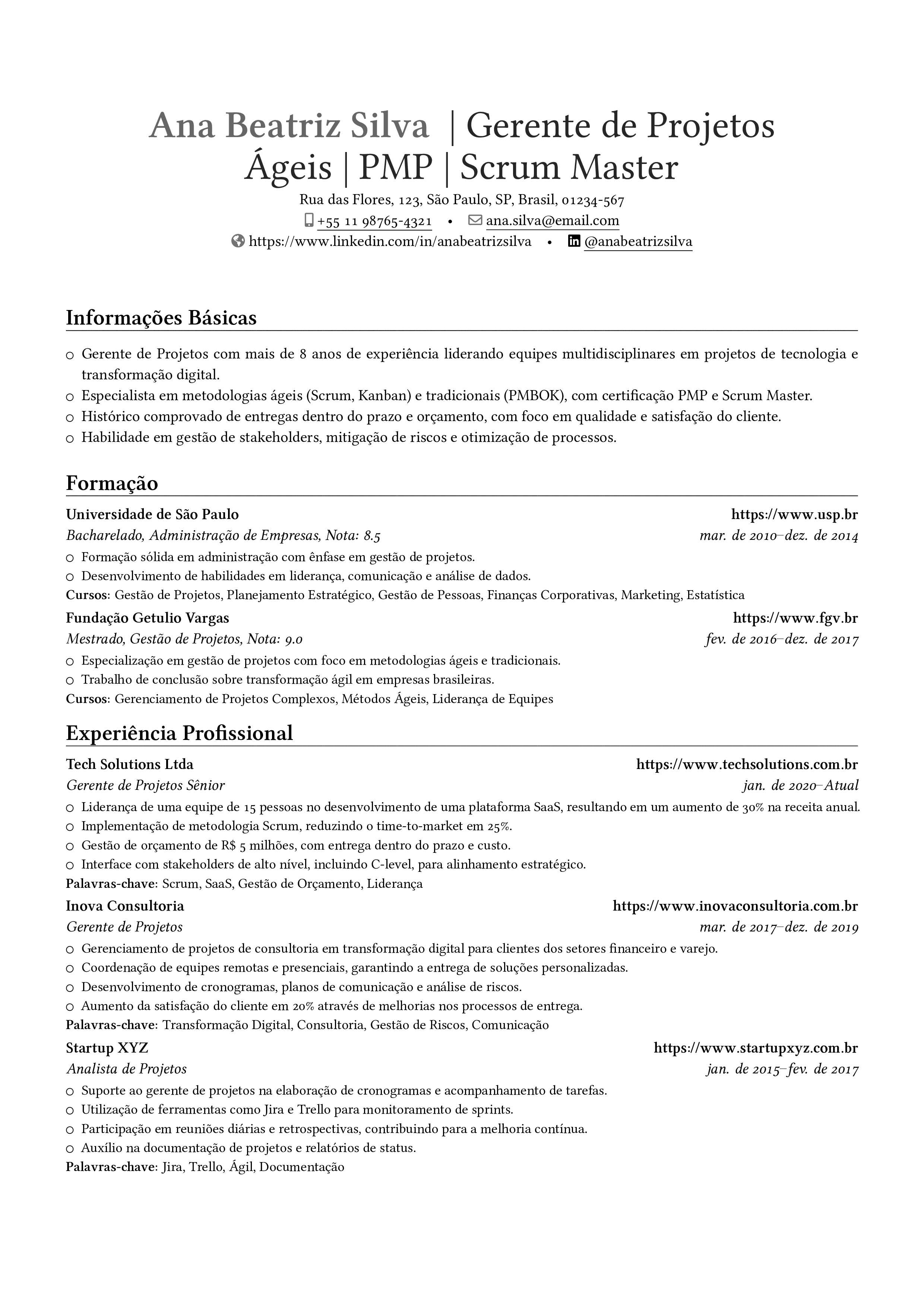 Gerente de Projetos resume preview