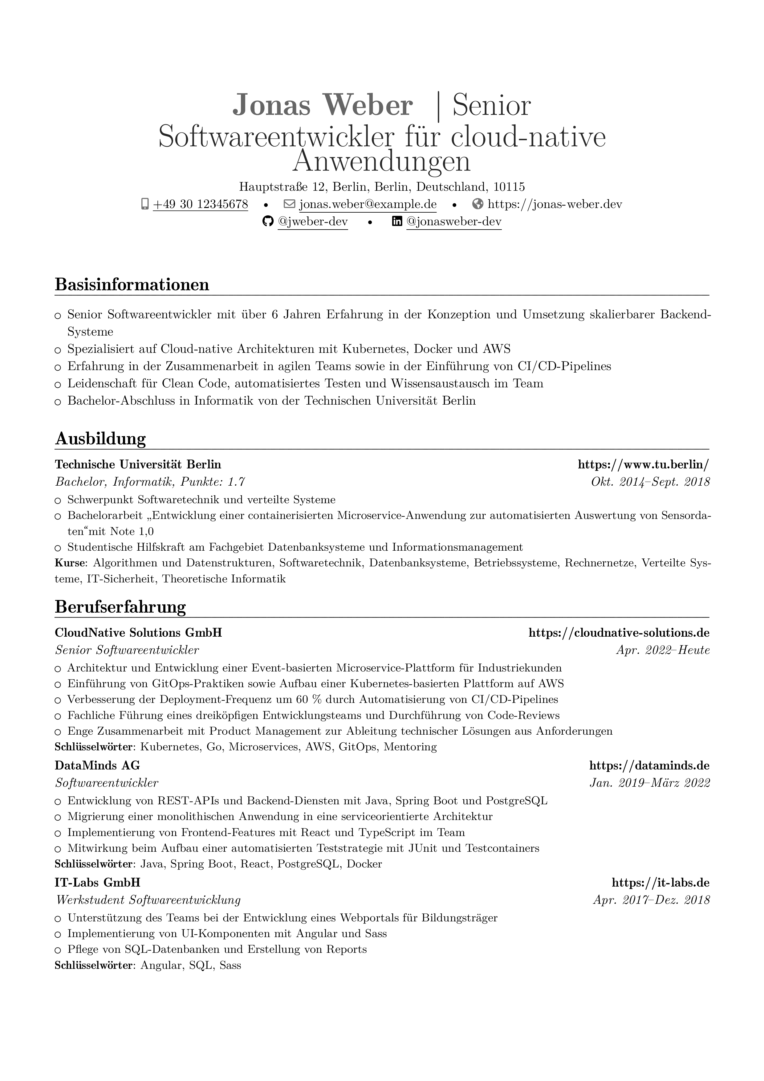 Softwareingenieur resume preview