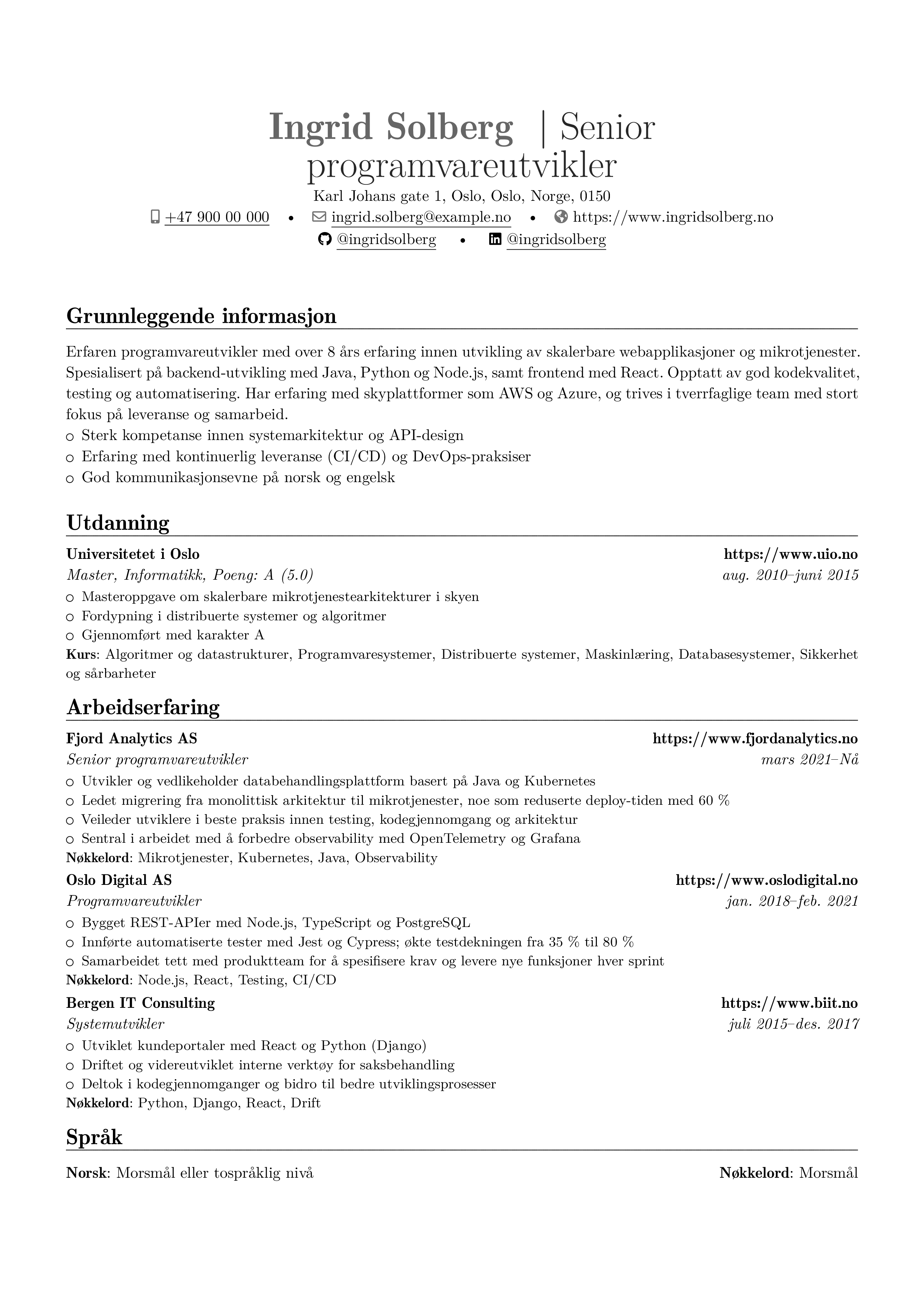 Programvareingeniør resume preview